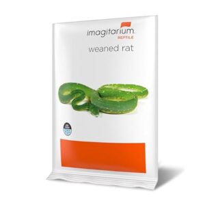 imagitarium Frozen Weaned Rat, Count B0CW5XTVY8