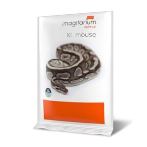 imagitarium Frozen XL Mouse, Count B0CW6261DY