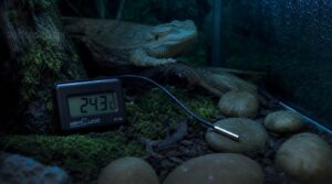 key features for overnight accuracy key features for overnight accuracy