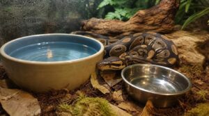 key features of safe snake water bowls key features of safe snake water bowls