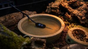 monitor water temperature after repositioning the dish monitor water temperature after repositioning the dish