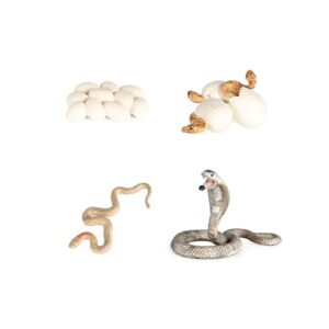 Realistic Animal Growth Cycle Model, B0CL58MJK6