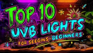 reptile uvb lights for beginners