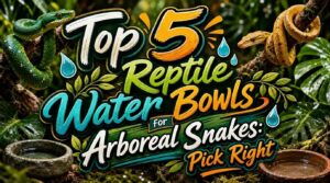 reptile water bowls for arboreal snakes reptile water bowls for arboreal snakes