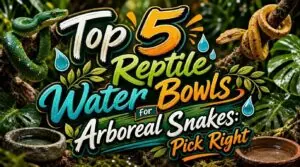 reptile water bowls for arboreal snakes reptile water bowls for arboreal snakes