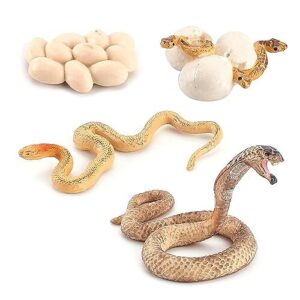 Snake Growth Cycle Cobra Growth B0CBB31NTM