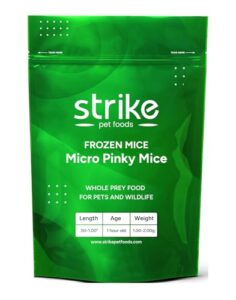 STRIKE Micro Pinky Frozen Mice B0DQTM66HN