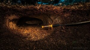substrate probe depth for burrowing species substrate probe depth for burrowing species