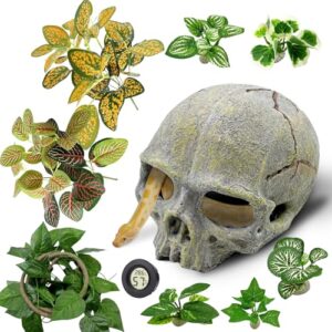 Tfwadmx 11Pcs Human Skull Decor B0CZRFP42T