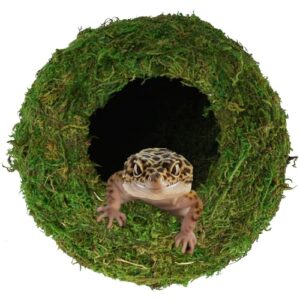 USMOLA Mossy Caves, Artificial Green B0CJ8XRCQJ