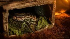 add humid hide when needed add humid hide when needed