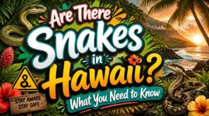 are there snakes in hawaii are there snakes in hawaii