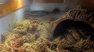 best materials for humidity retention best materials for humidity retention