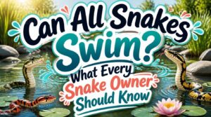 can all snakes swim can all snakes swim