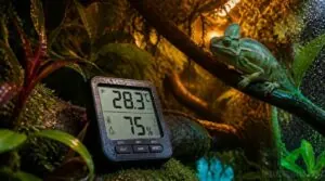 choosing a reliable terrarium monitor choosing a reliable terrarium monitor