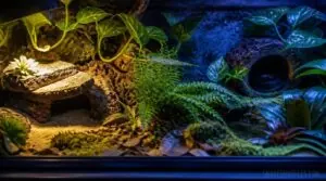 place hides for bioactive success place hides for bioactive success