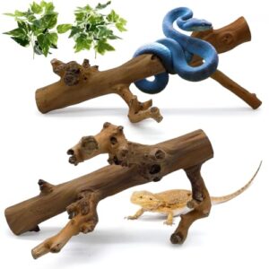 2PCS Snake Climbing Branch,Reptile Wood B0DTTDJ8PN
