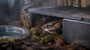 add a humid hide add a humid hide