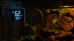backlit screen benefits backlit screen benefits