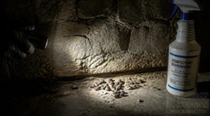 droppings near walls droppings near walls