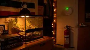 fire-safe dorm setup fire-safe dorm setup
