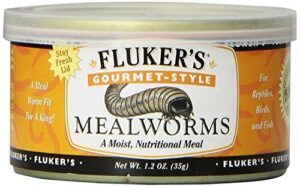 Fluker's Gourmet Mealworms, Canned Food B000YFLLQI