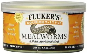 Fluker's Gourmet Mealworms, Canned Food B000YFLLQI