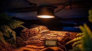 heat lamp safety requirements heat lamp safety requirements