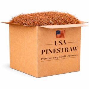 Long Needle Pine Straw Mulch B07529M9BR