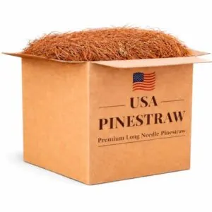 Long Needle Pine Straw Mulch B07529M9BR