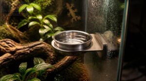magnetic mounting systems magnetic mounting systems