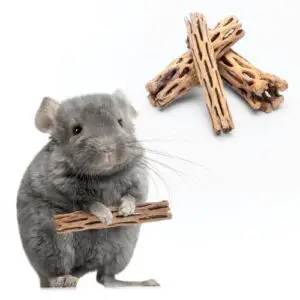 Natural Cholla Wood Driftwood B00MYN48J0
