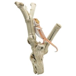 Reptile Branches for Climbing Natural B0DXPDZKJL