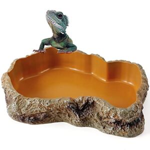 Reptile Food Water Resin Rock B096DVYSK1