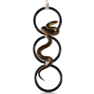 Snake Enrichment Climbing Rings, Safe B0FPLBS6YH