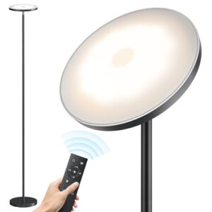 SUNMORY Floor Lamps for Living B0CQY5RK52