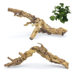 VCEPJH 2 Pack Reptile Wood B0CYPQSMQT