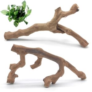 VCEPJH Snake Climbing Branch, 2Pcs B0CMPYMBYZ
