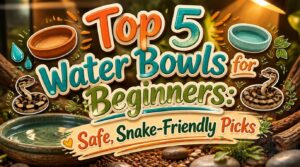 water bowls for beginners