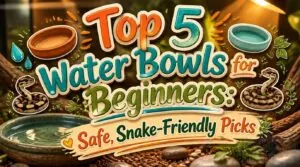 water bowls for beginners water bowls for beginners