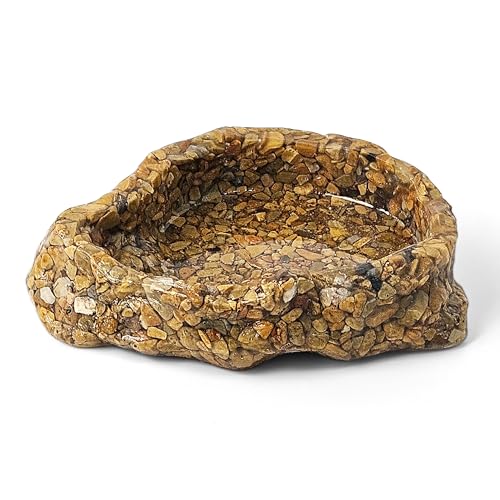 Water Dish for Amphibians,Reptile Food