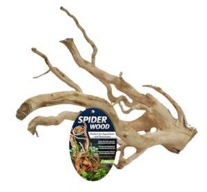 Zoo Med Spider Wood 8 12IN B07XLN3Q3J