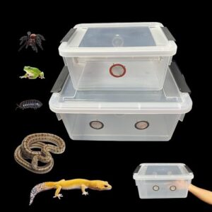 2pcs Large Reptile Feeding Box B0D4QG4B1M