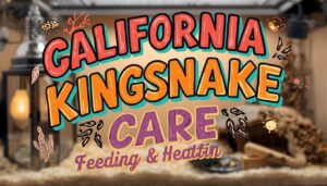 california kingsnake care california kingsnake care