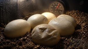 check humidity, temperature, and substrate check humidity, temperature, and substrate