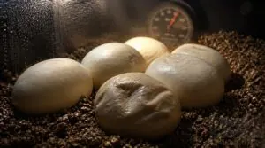 check humidity, temperature, and substrate check humidity, temperature, and substrate