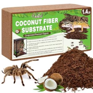 Halatool 1 Pack Compressed Coconut B0C998GD5W