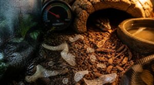 humidity problems that break up sheds humidity problems that break up sheds