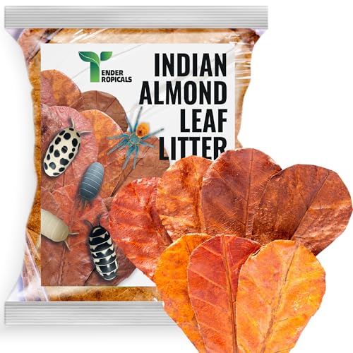 Leaf Litter for Isopods –