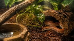 maintain safe substrate and enrichment maintain safe substrate and enrichment